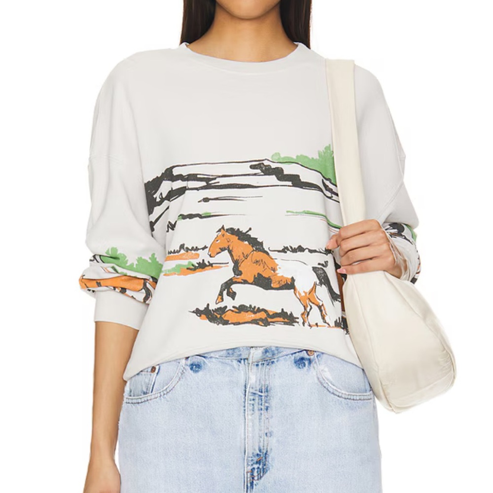 Free people gray horse sweater in size small